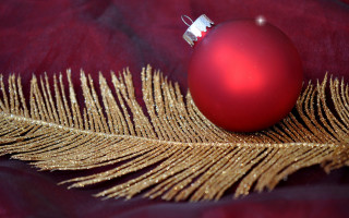 Red ornament gold feather red - ornamental free wallpaper