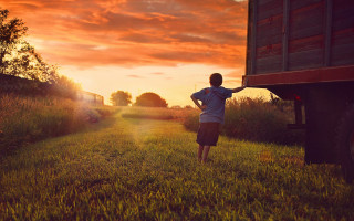 Boy grass truck sunset cinematic - the grass next free wallpaper