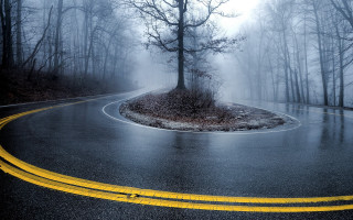 Winding road foggy forest moonlight - gloomy atmosphere free wallpaper