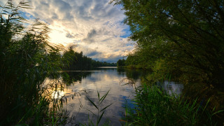 River trees clouds bushes nature - lake free wallpaper