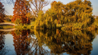 River bridge trees autumn impressionism - a bridge and trees free wallpaper