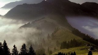 Mountain forest fog clouds lake - a forest free wallpaper