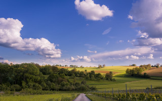 Road fence trees clouds sky - a fence and trees free wallpaper
