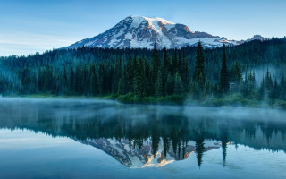 Mountain snow capped reflection forest - peak free wallpaper for desktop