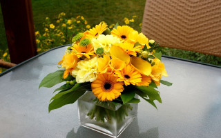 Yellow flowers vase outdoor sunny - ammi phillips free wallpaper