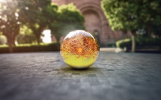 Yellow ball building trees bokeh - the background and a building in the background free wallpaper