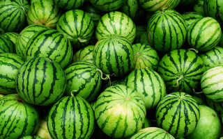 Watermelons market display neoplasticism food - display free wallpaper for desktop