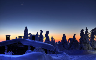 Snowy forest moonlight building night - a building in the distance free wallpaper