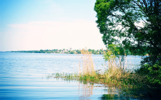 Lake tree sky cloud ecological - lake free wallpaper