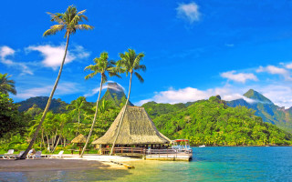 Tropical beach palm hut ocean - palm tree and a hut free wallpaper