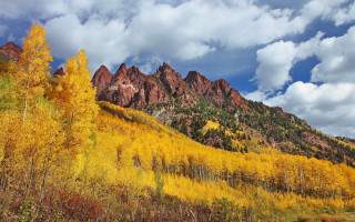 Mountain forest autumn leaves cloudy - a forest of trees free wallpaper for desktop