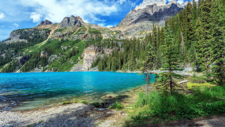 Mountain lake forest blue sky - a mountain lake free wallpaper