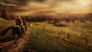 Woman riding horse dirt road - a lush green field free wallpaper