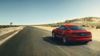 Red mustang desert road cactus - cobra free wallpaper