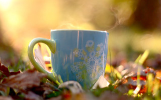 Blue coffee cup autumn bokeh - top of a grass free wallpaper for desktop