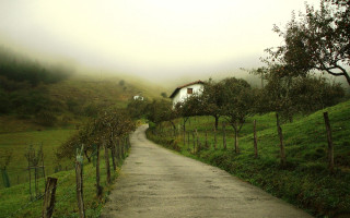 Lush green road trees house - a lush green field free wallpaper