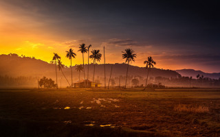 Palm trees house sunset mountains - a yellow sky free wallpaper for desktop