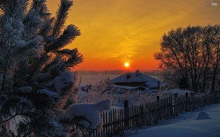 Sunset snowy field fence trees 3 - a fence and trees free wallpaper