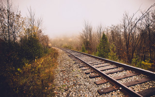 Train track fog trees bench - liminal space free wallpaper