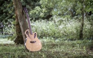 Guitar leopard print tree woods - the wood free wallpaper