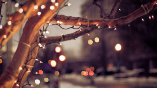 Glowing tree snow night bokeh - the snow free wallpaper