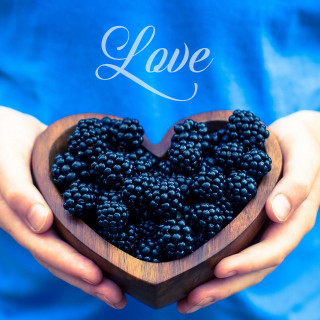 Person holding blackberries love blue - evaline ness free wallpaper for tablet