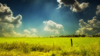 Field fence sky grass hill - in the foreground free wallpaper for desktop