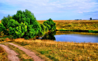 Dirt road lake trees autumn - a lake and trees free wallpaper