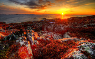 Sunset rocky beach mossy shore - a rocky shoreline free wallpaper