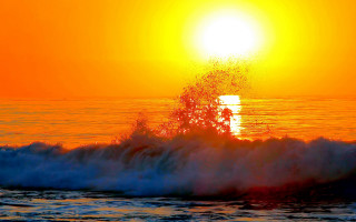 Sunset wave tree yellow sky - a yellow sky free wallpaper for desktop