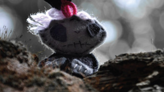 Stuffed animal red hat woods - top of a tree branch free wallpaper