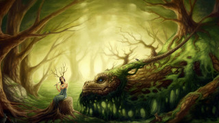 Woman dragon face forest stump - a tree stump in a forest free wallpaper