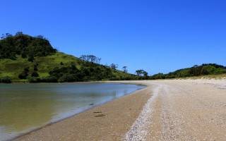 Sandy beach hill water bird - a sandy beach free wallpaper for desktop