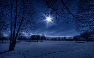 Full moon snowy forest night 4 - a full moon free wallpaper for desktop