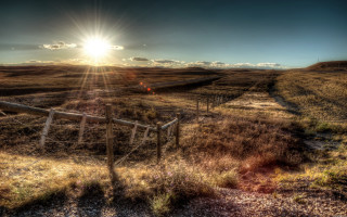Fence field sunshine grass bushes - in a field free wallpaper for desktop
