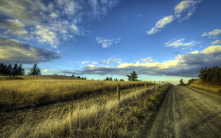 Dirt road fence grass trees - a dirt road free wallpaper