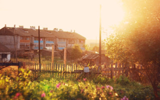 Fence building flowers bridge sunset - a fence and a building free wallpaper