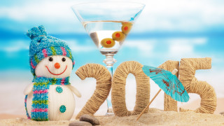 Snowman wine beach 2013 umbrella - elaine duillo free wallpaper
