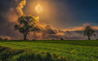 Autumn field trees sun clouds - cloud and sun rays free wallpaper for desktop