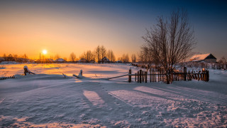 Sunset snowy field fence trees 4 - a fence and trees free wallpaper