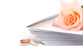 Wedding rings rose white background 2 - bracha l. ettinger free wallpaper