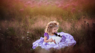 Little girl purple dress dog - a purple dress holding free wallpaper for desktop