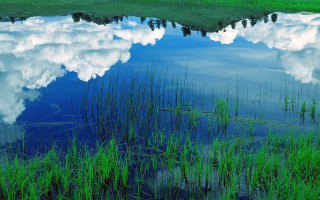 Large water surrounded by nature - charles ragland bunnell free wallpaper