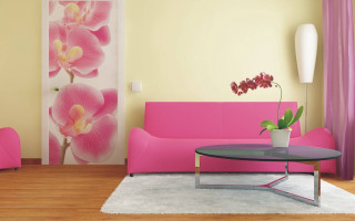 Living room pink couch flower - vibrant color scheme free wallpaper