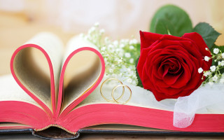 Romantic rose heart ring flower - the cover free wallpaper