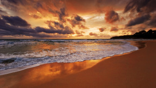 Beach waves sunset clouds trees 5 - a sunset in the background free wallpaper for desktop