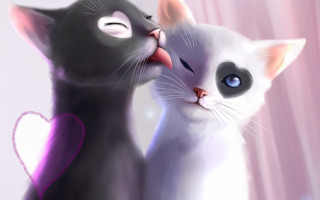 Black white cats heart closed - a couple of cats free wallpaper