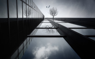 Tree reflection building sky cloud - surreal photography free wallpaper for desktop