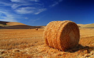 Hay bale wheat hills blue - hill free wallpaper