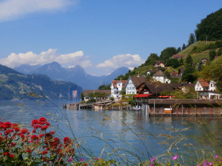 Lake shore houses mountains flowers - house free wallpaper